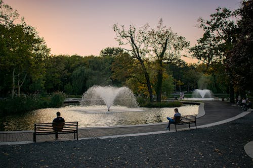 Fotobanka s bezplatnými fotkami na tému fontána, fontány, forestpark