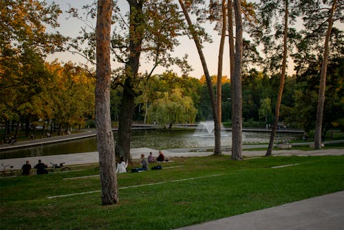 Fotobanka s bezplatnými fotkami na tému fontána, forestpark, jazero