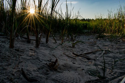 Fotobanka s bezplatnými fotkami na tému lakeshore, modrá, modrá obloha