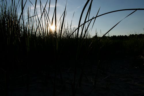 Fotobanka s bezplatnými fotkami na tému krásna obloha, silueta, západy slnka