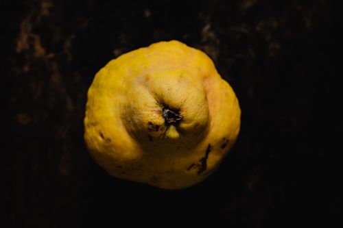 Free Close-up of a single quince fruit with rich texture on a dark background, creating a rustic feel. Stock Photo