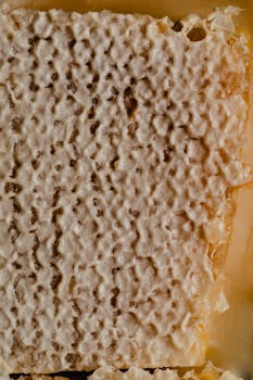 Detailed close-up shot of beeswax honeycomb showcasing natural texture and structure.