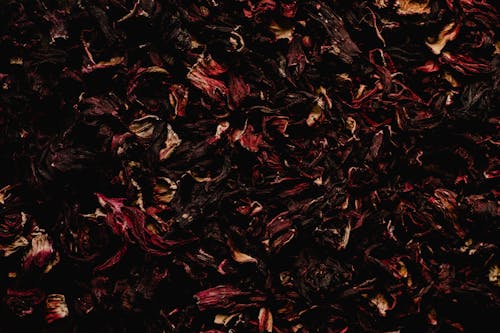 
A Close-Up Shot of Loose Tea Leaves