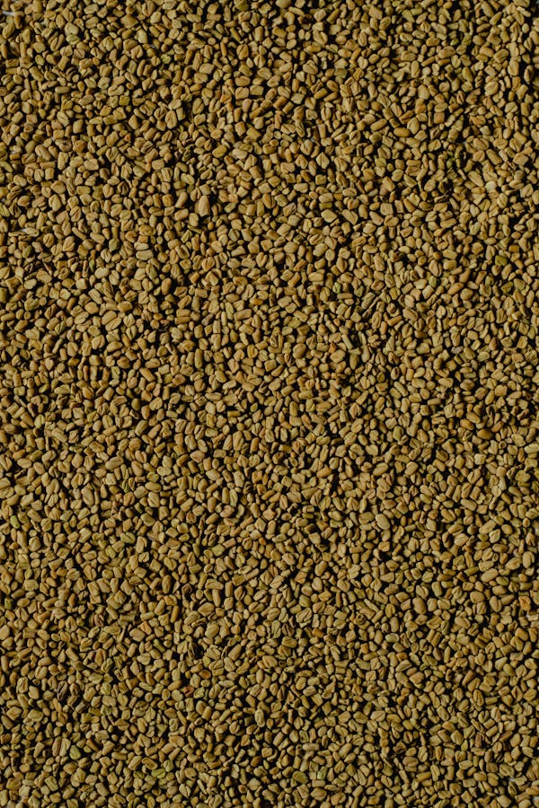 A Pile of Fenugreek Seeds
