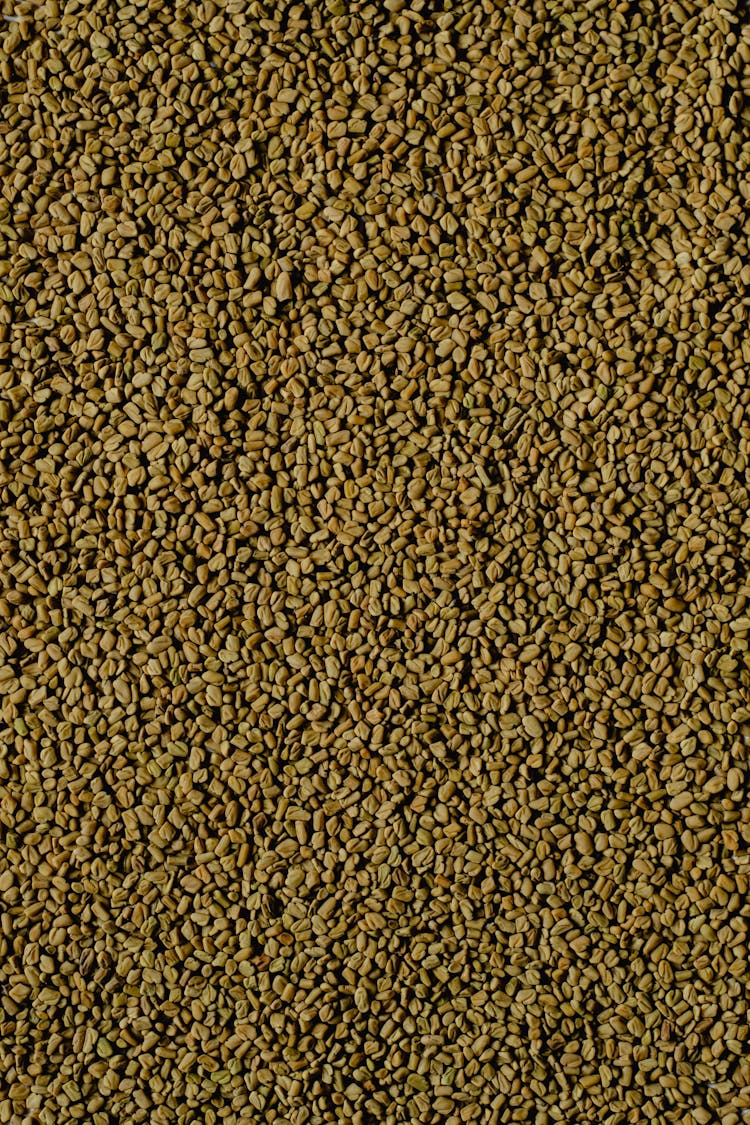 A Pile Of Fenugreek Seeds