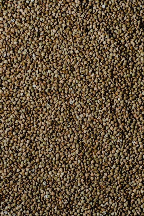 Grains of Buckwheat