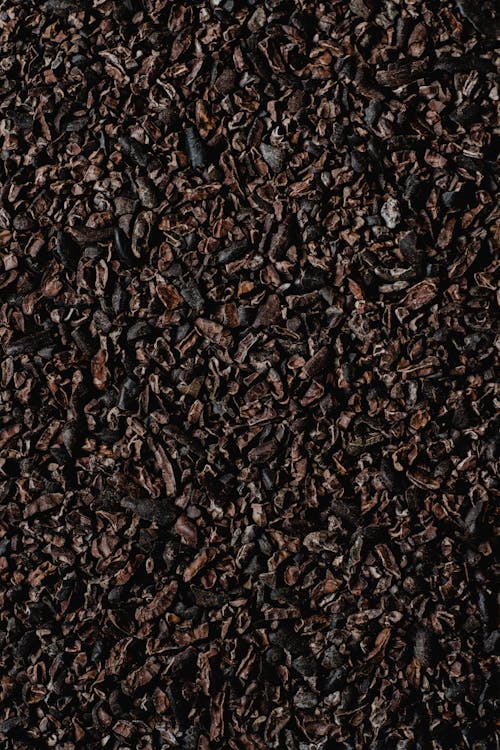 Un Mucchio Di Granella Di Cacao