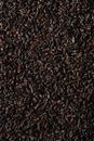 A Pile of Cacao Nibs