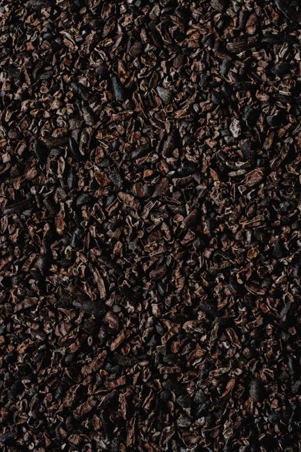A small bowl of dark cacao powder next to a scattering of cacao nibs and whole cacao pods on a wooden surface.