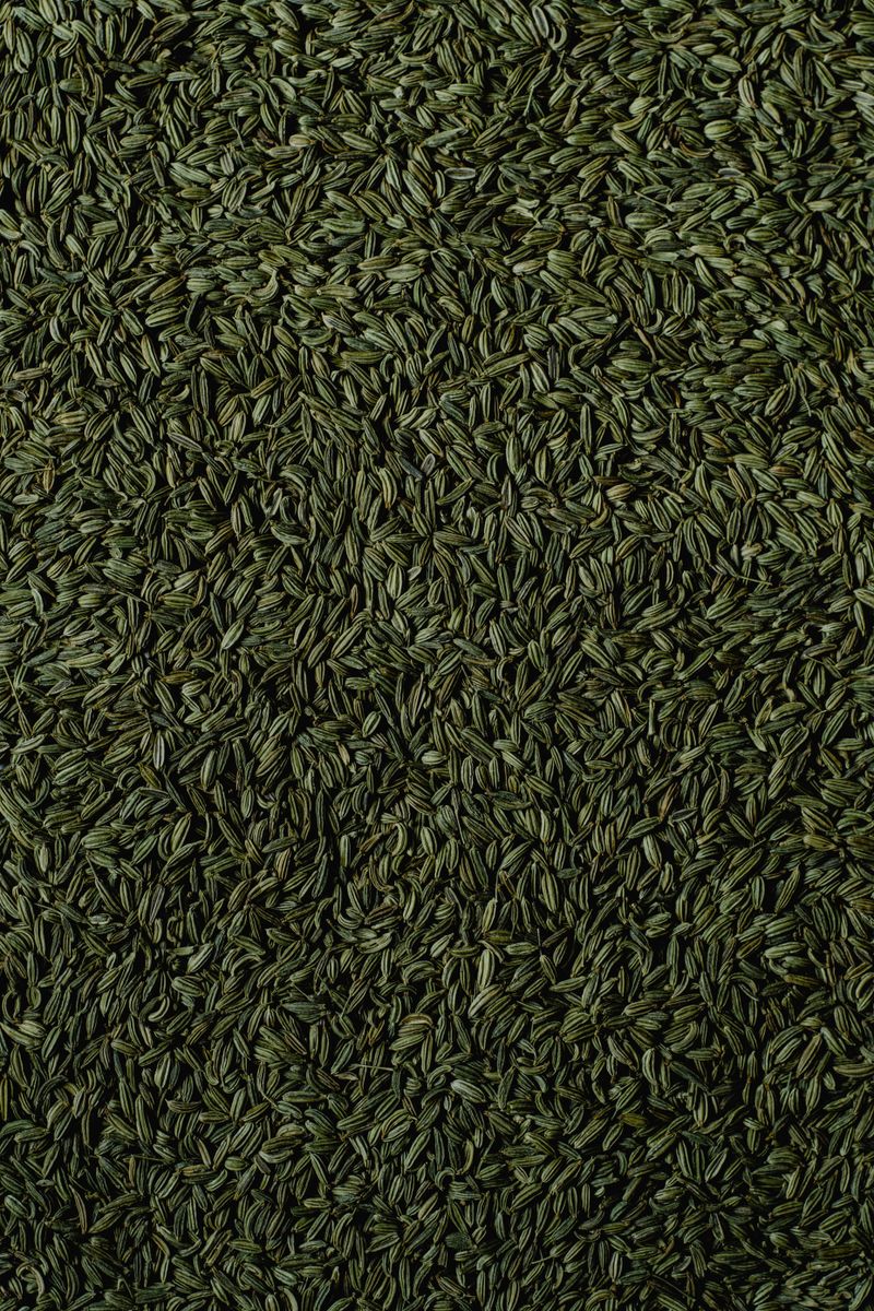 Fennel Seeds