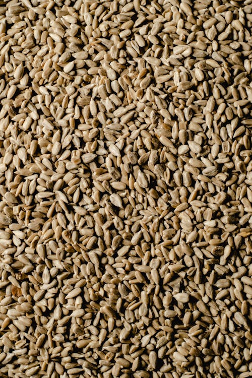 Free Top View of Peeled Sunflower Seeds Stock Photo