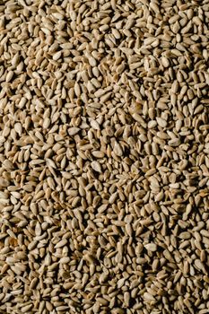 Ranch Sunflower Kernels
