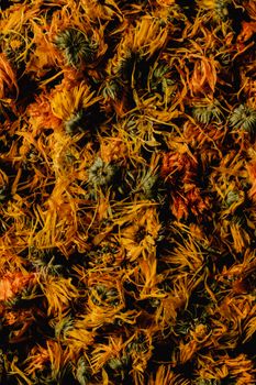 充满活力的橙色干金盏花顶视图，构成了纹理背景