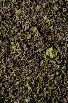 Close-up of dried herb leaves showcasing natural texture and earthy tones.