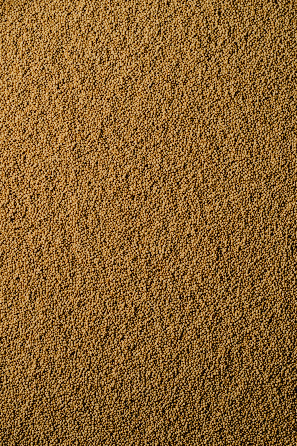Hạt dền (amaranth) cận cảnh