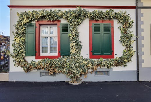 Beautiful house facade in Basel with green shutters and decorative creepers framing the windows.