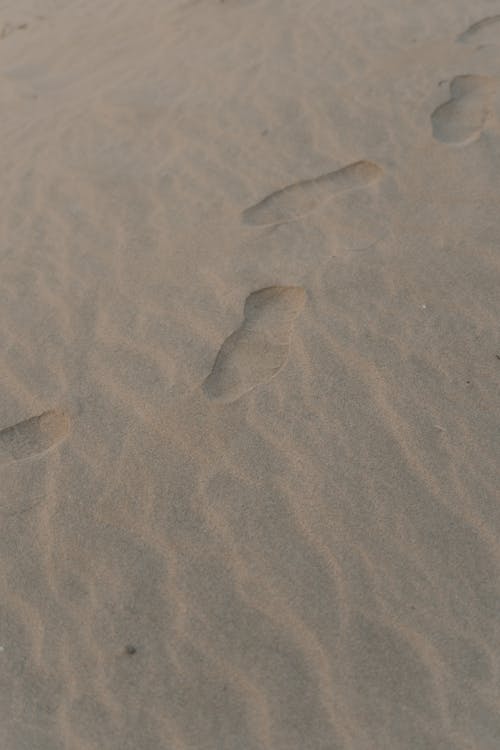 Fotobanka s bezplatnými fotkami na tému odtlačky chodidiel, piesok, púšť