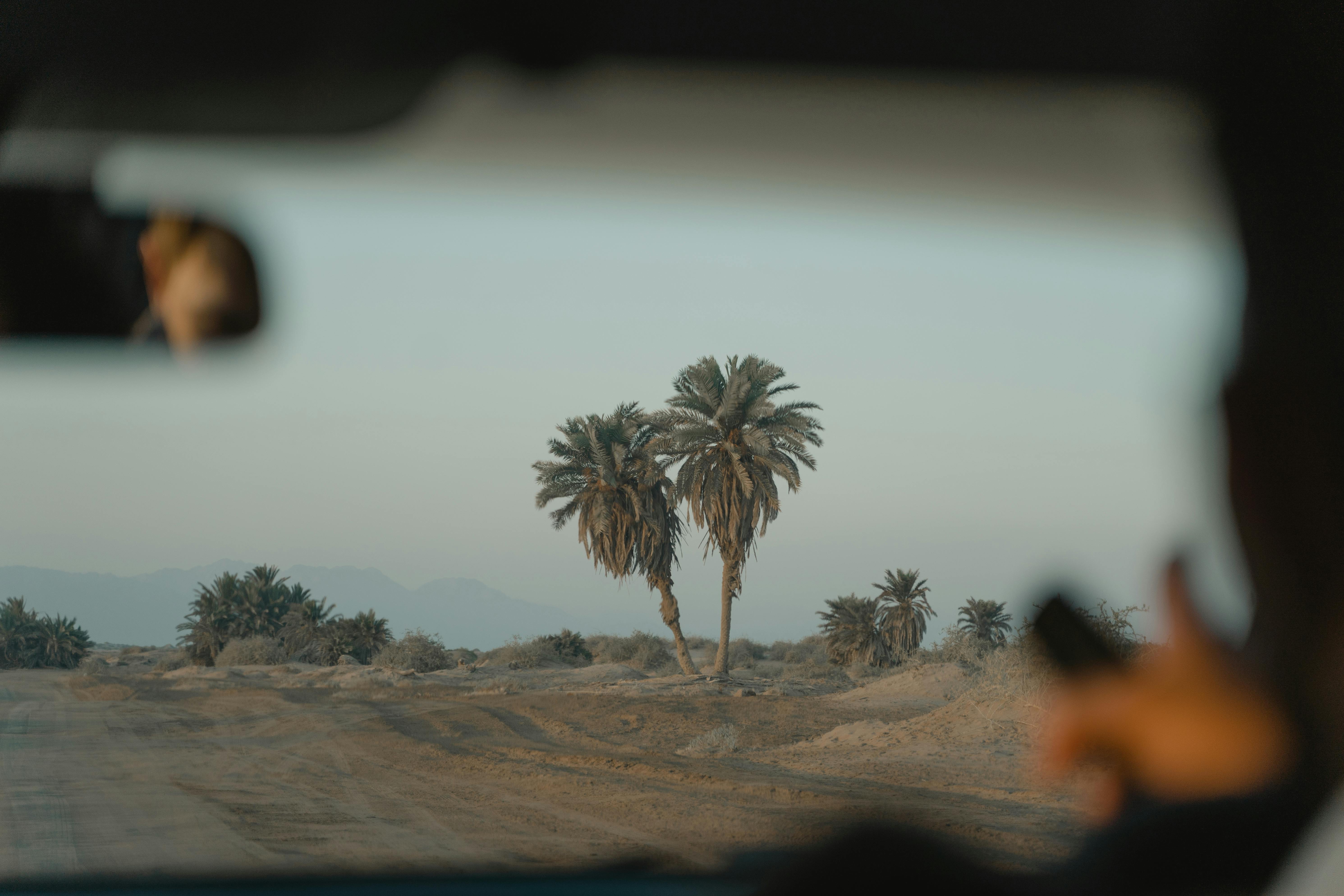 How many dates mean you're dating?