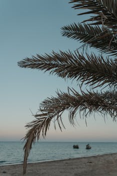 A tranquil beach scene with palm fronds and a distant ocean view at sunrise.