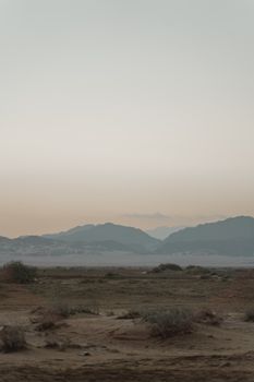 在柔和的黎明天空下，宁静的沙漠景观与远处的山脉展现了大自然的平静