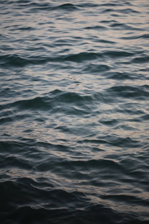 Deep wavy sea in summer evening