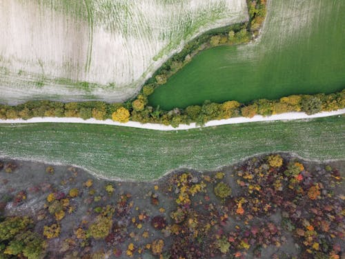 Aerial view of spacious valley with autumn colorful forest green fields on clear day