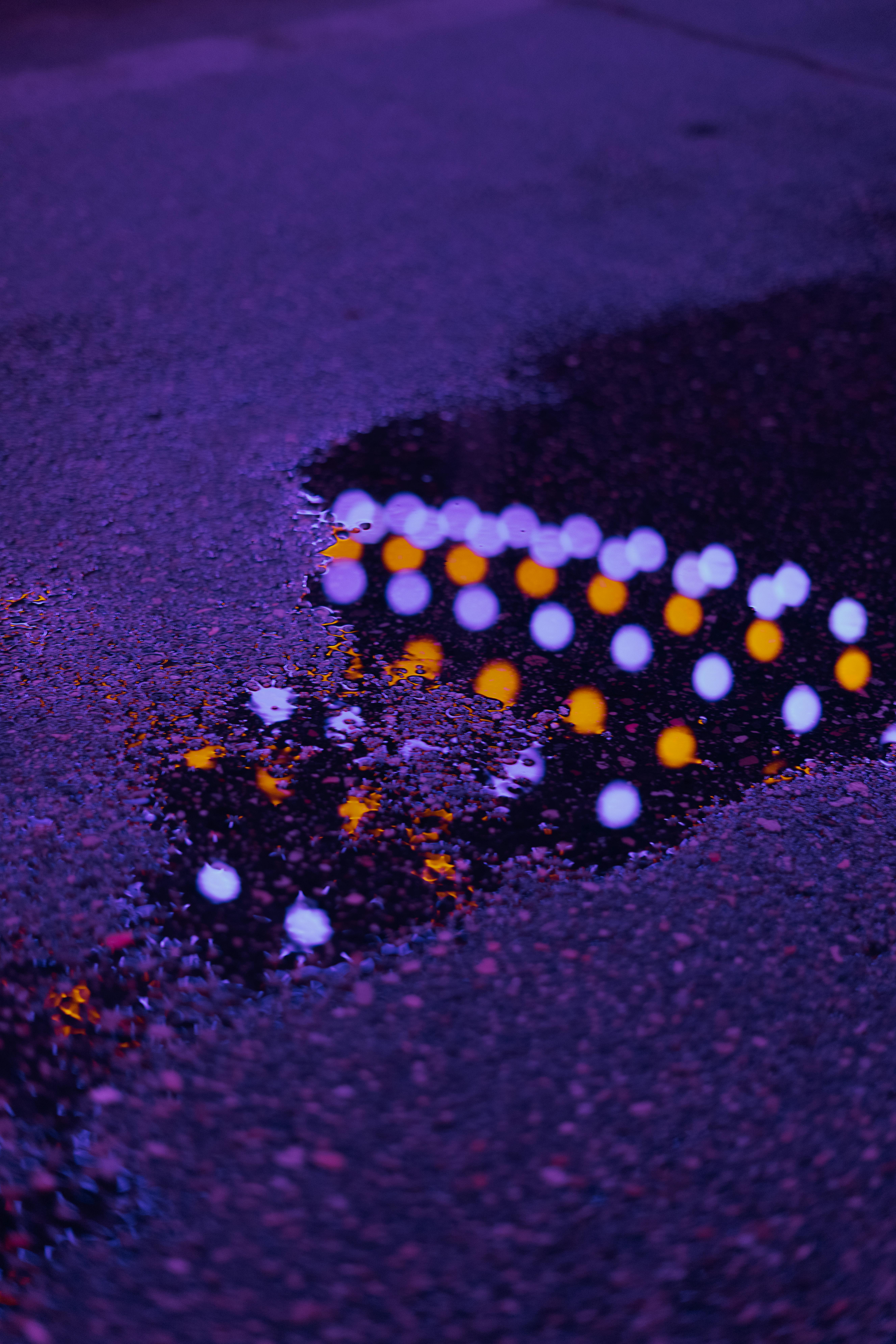 Photo by mohsen AMERI