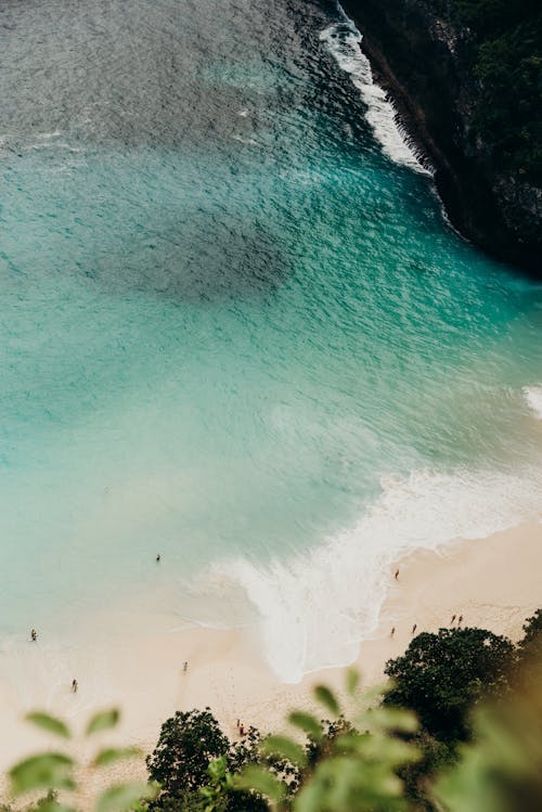 Free Aerial View of a Beach Stock Photo