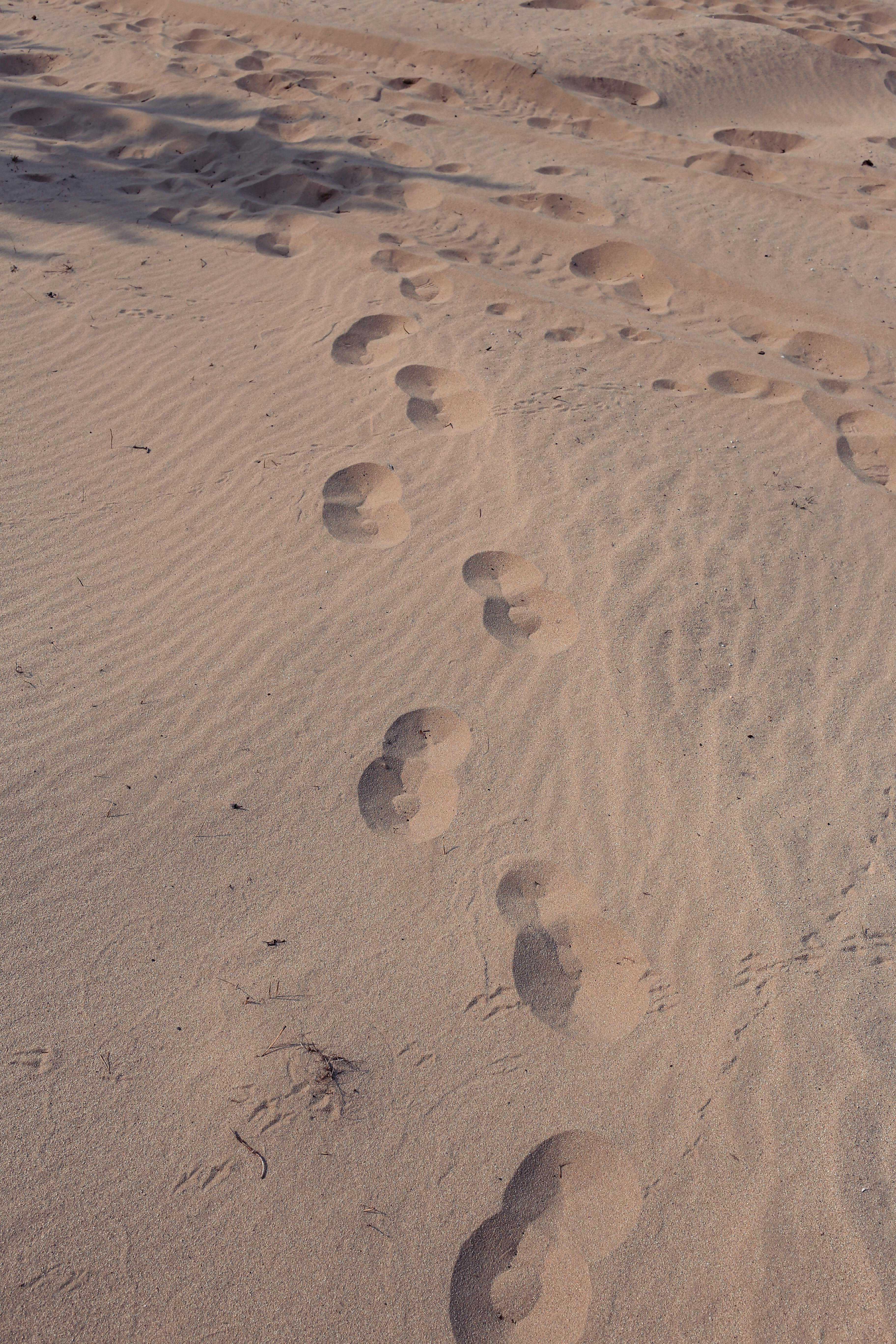 Path of footprints on a sandy beach, showing human steps under the afternoon sun.