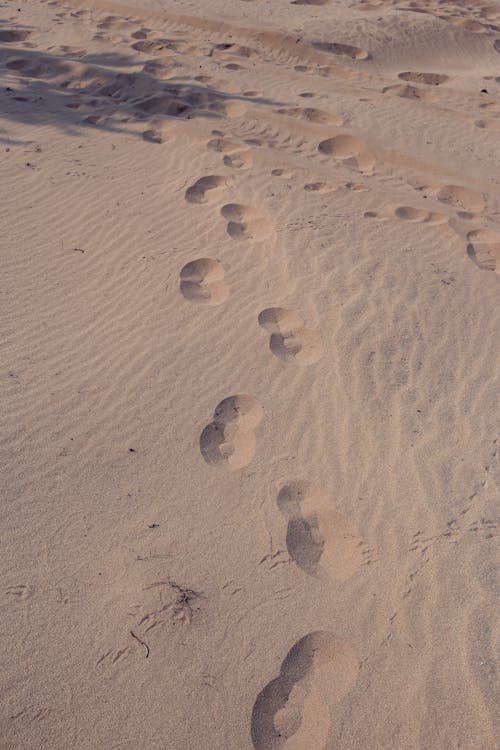 Free Footprints on the Sand Stock Photo