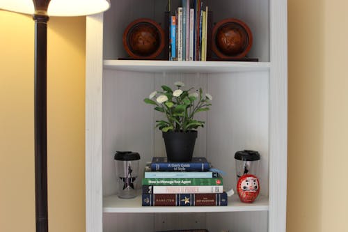 Free stock photo of book shelf, books, bookshelf Stock Photo