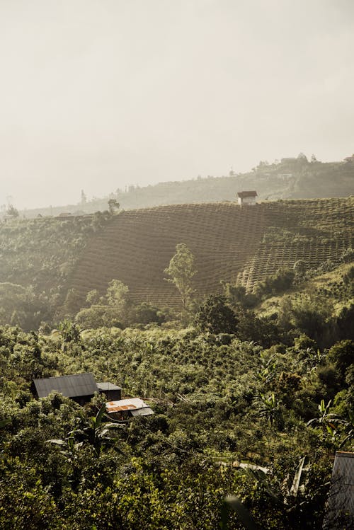 Farm Fields on the Hills