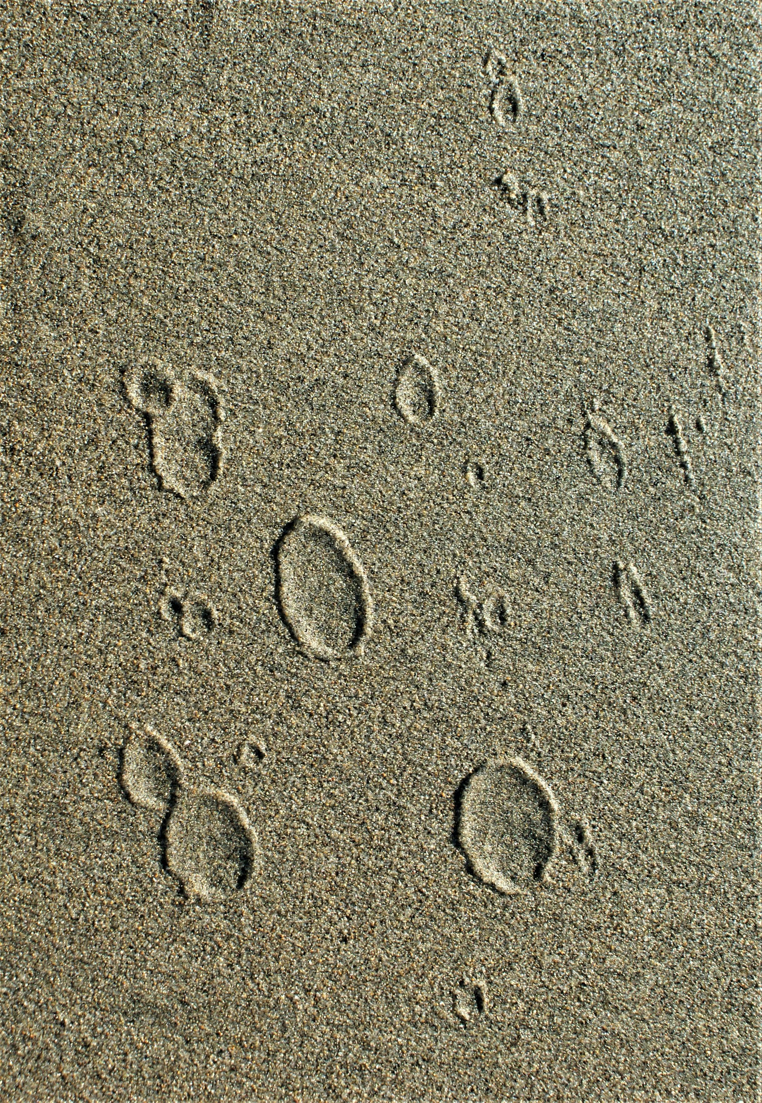 Person resting on a couch looking fatigued