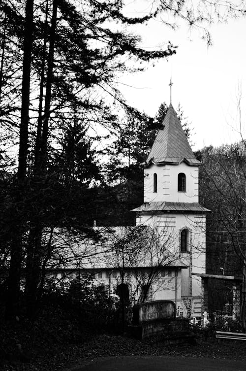 Free Grayscale Photo of Church Near Trees Stock Photo