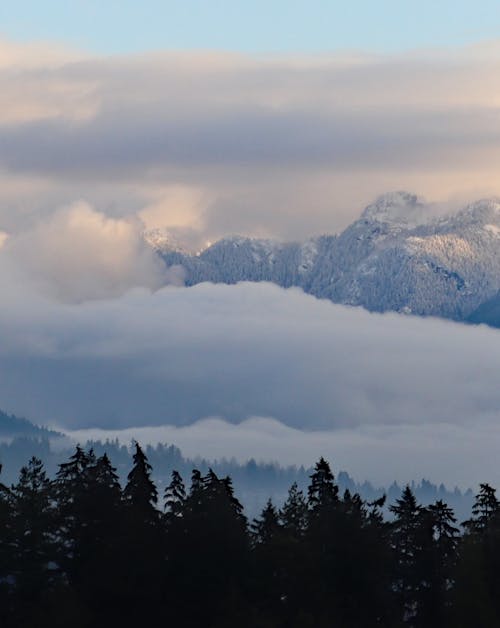 Fotobanka s bezplatnými fotkami na tému hmla, hory, krajina