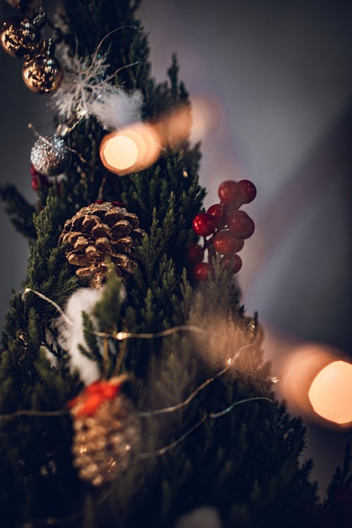Christmas Ornaments on a Tree 