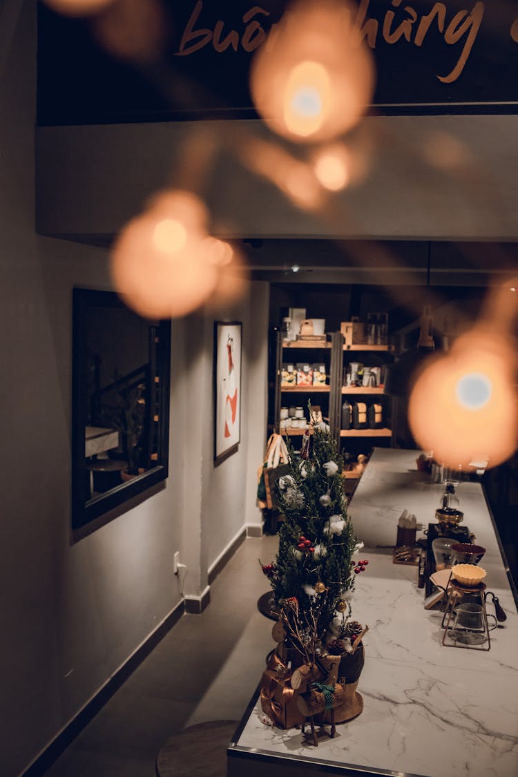 Christmas Tree On Table In House