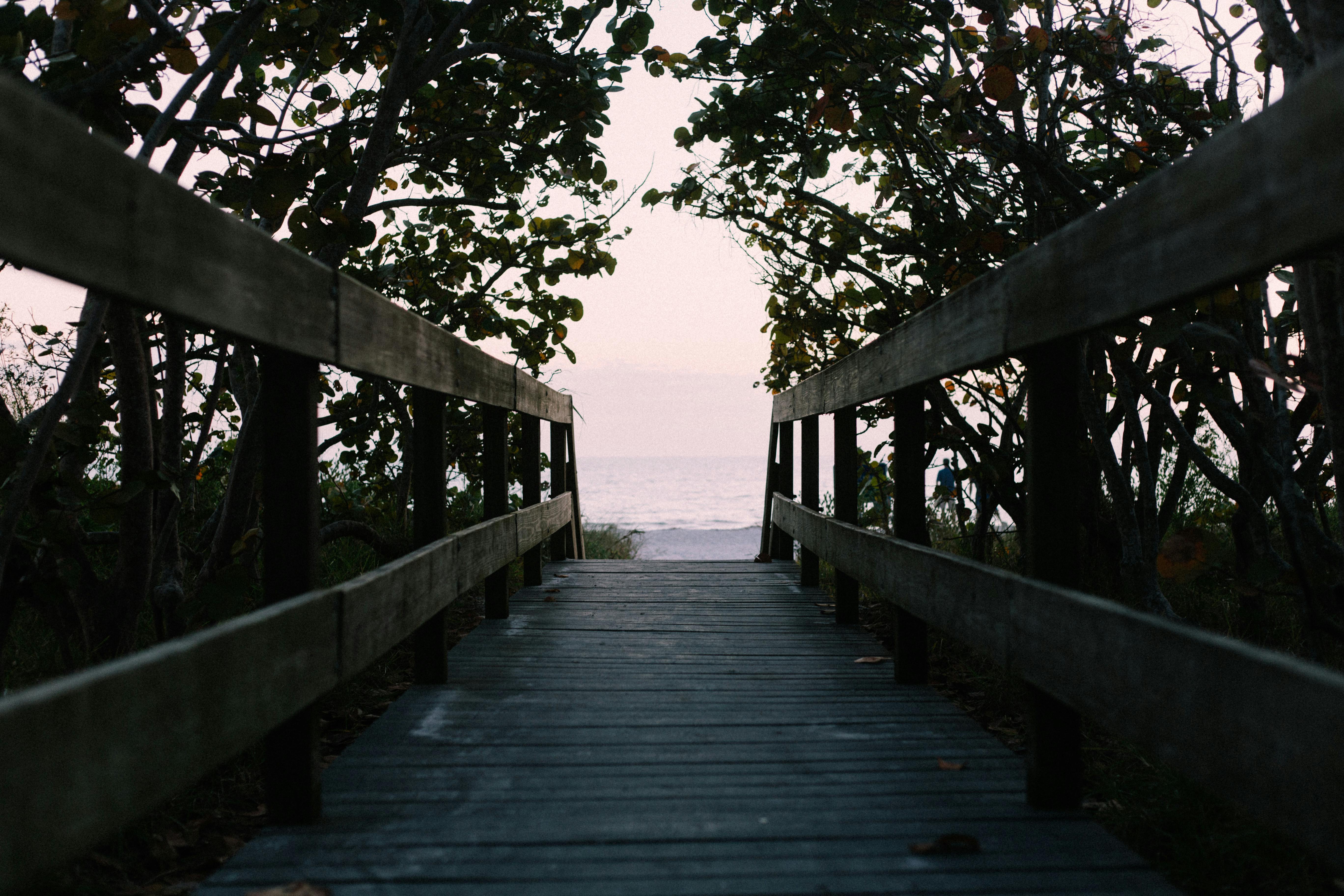 Broward County walks the walk on sea-level rise — Photo by Josh Sorenson on Pexels