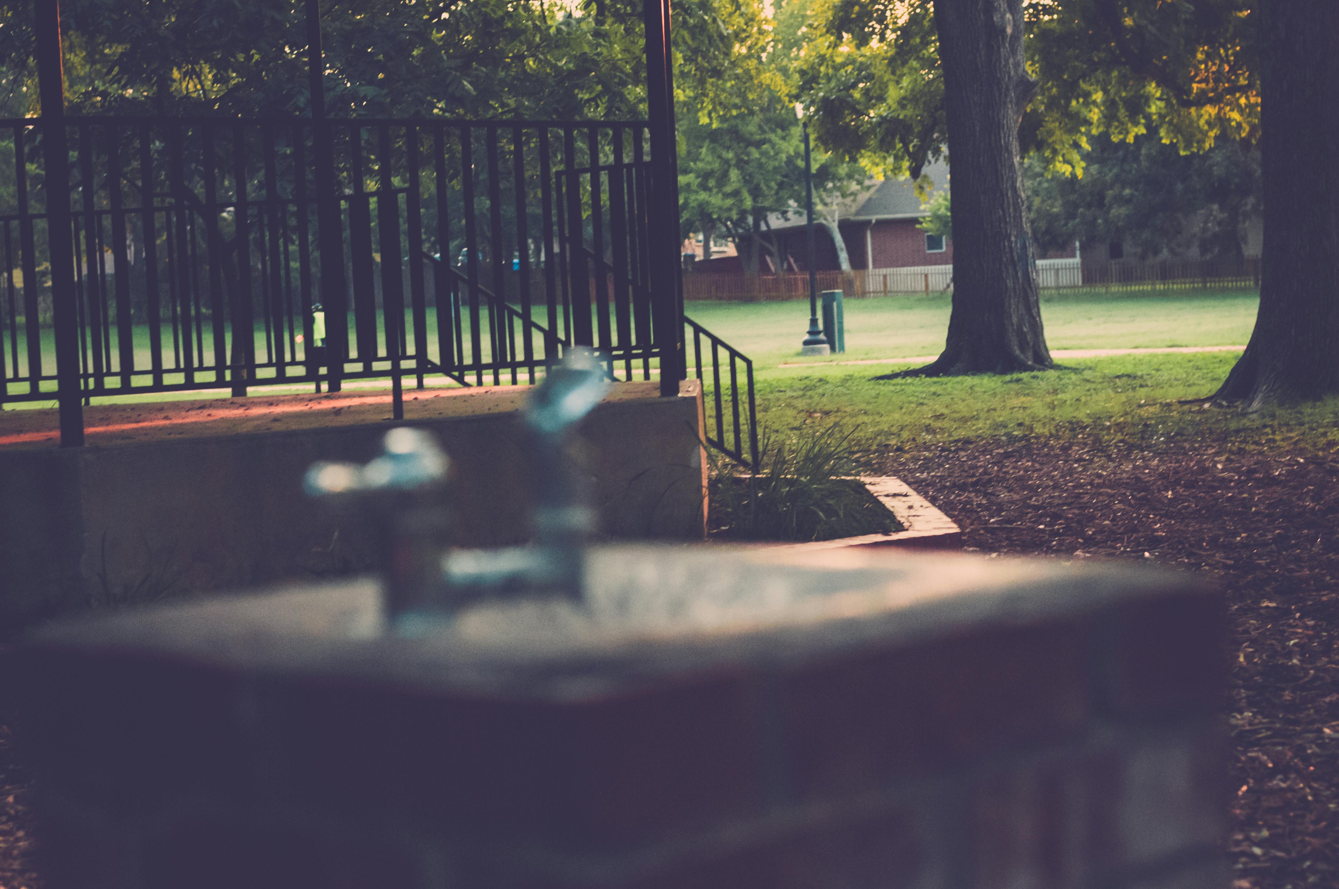 Free Stock Photo Of Depth Of Field Drinking Fountain Grass
