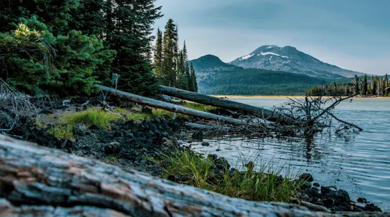 Alpine meadow in the Oregon Cascades