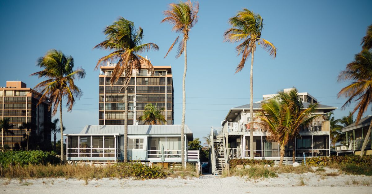 Sunny beachfront view with palm trees and modern houses, perfect for a tropical getaway.