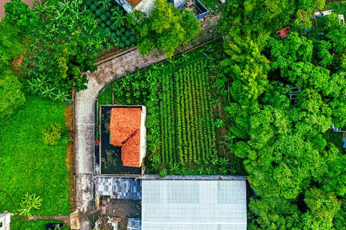 Foto stok gratis agrikultura, alam, bangunan