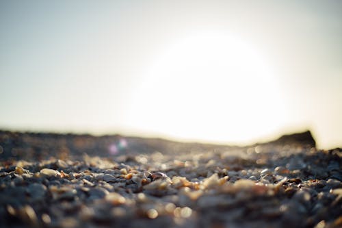 Безкоштовне стокове фото на тему «берег, галька, Захід сонця»