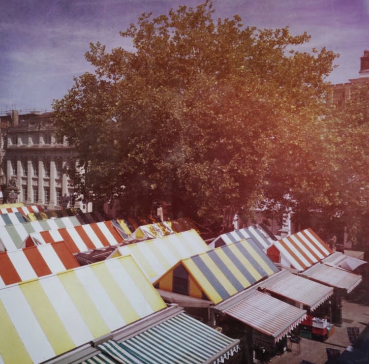 Striped Canopies Of Market Stalls Near Tree