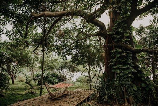 Serene jungle scene with a hammock under a banyan tree in Vietnam's lush forest.