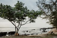 宁静的海滩与郁郁葱葱的绿色植物和岩石海岸在富国岛，越南.