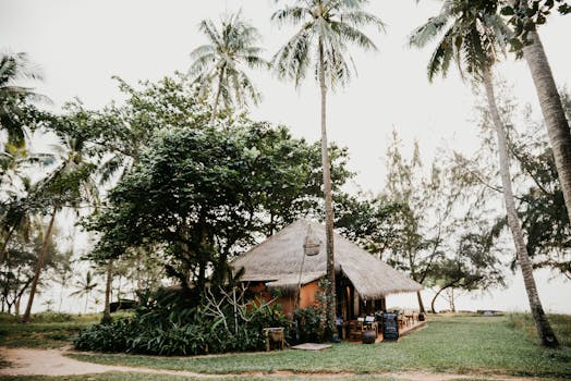 A tropical hut nestled among palm trees by the beach in Vietnam, perfect for relaxation.