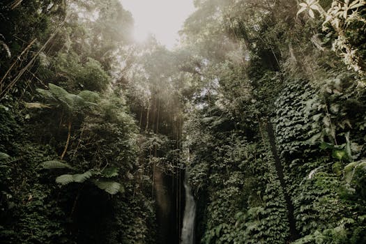 Discover the serene beauty of a Bali rainforest waterfall, surrounded by lush greenery.