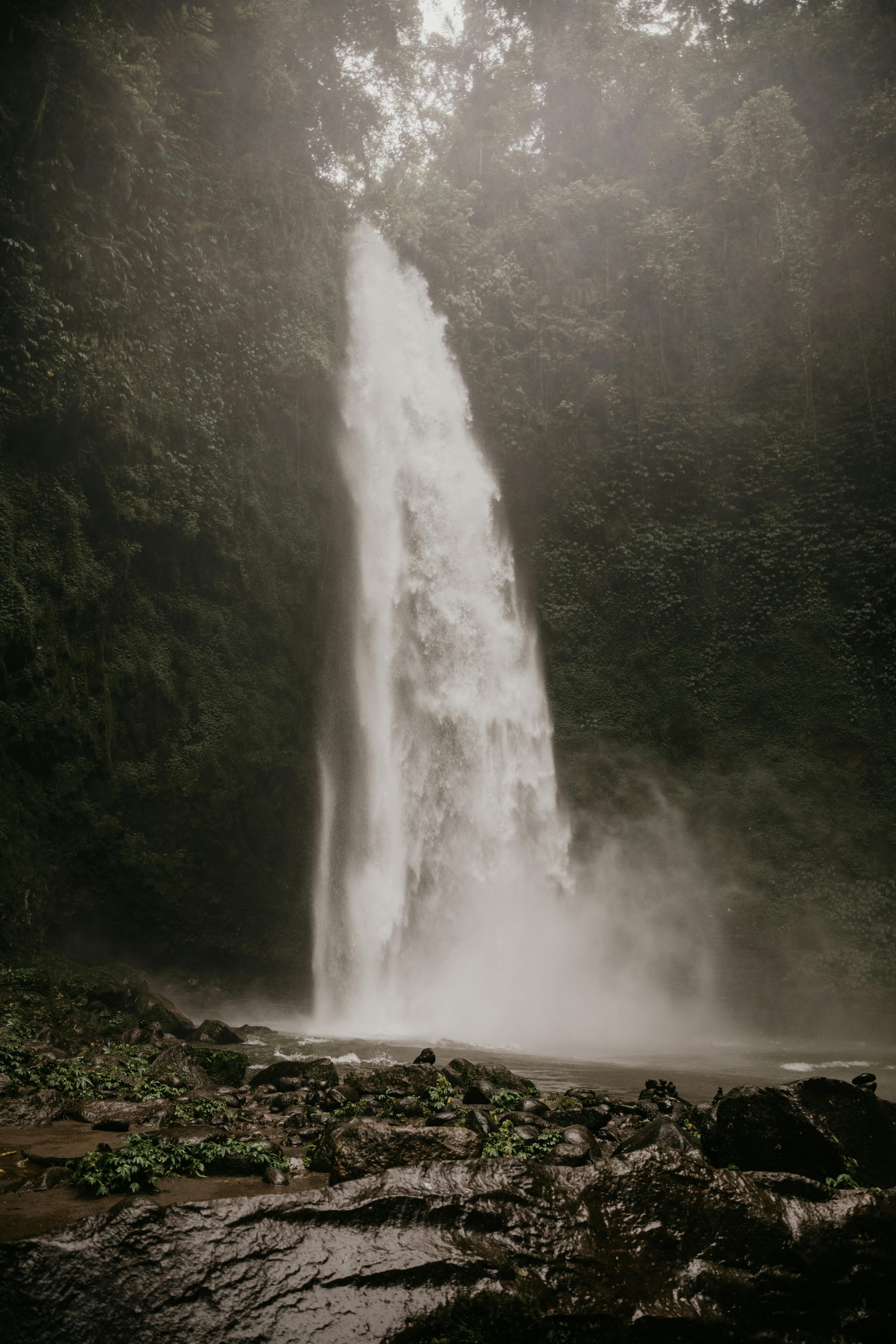 waterfalls in the middle of the forest