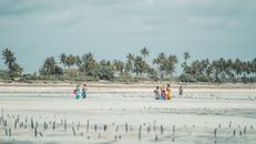 Women in Colorful Dresses Walking in Water Along the Beach with Palm Trees